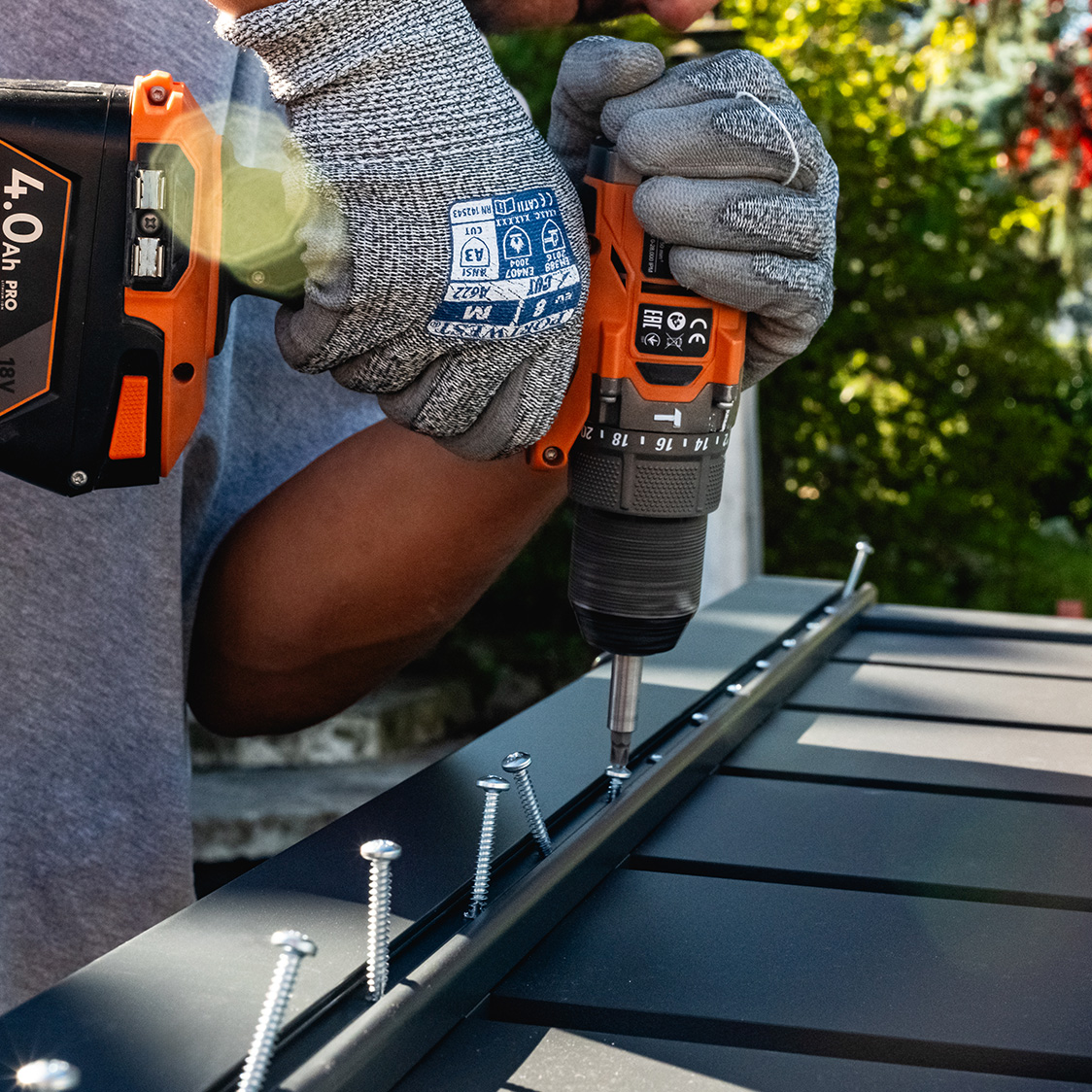 Fedezze fel Casanoovot